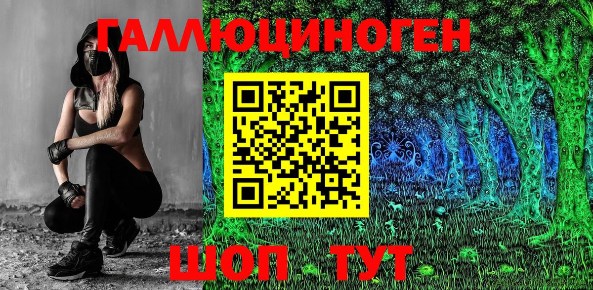 Галлюциногенные грибы Psilocybine cubensis Беслан